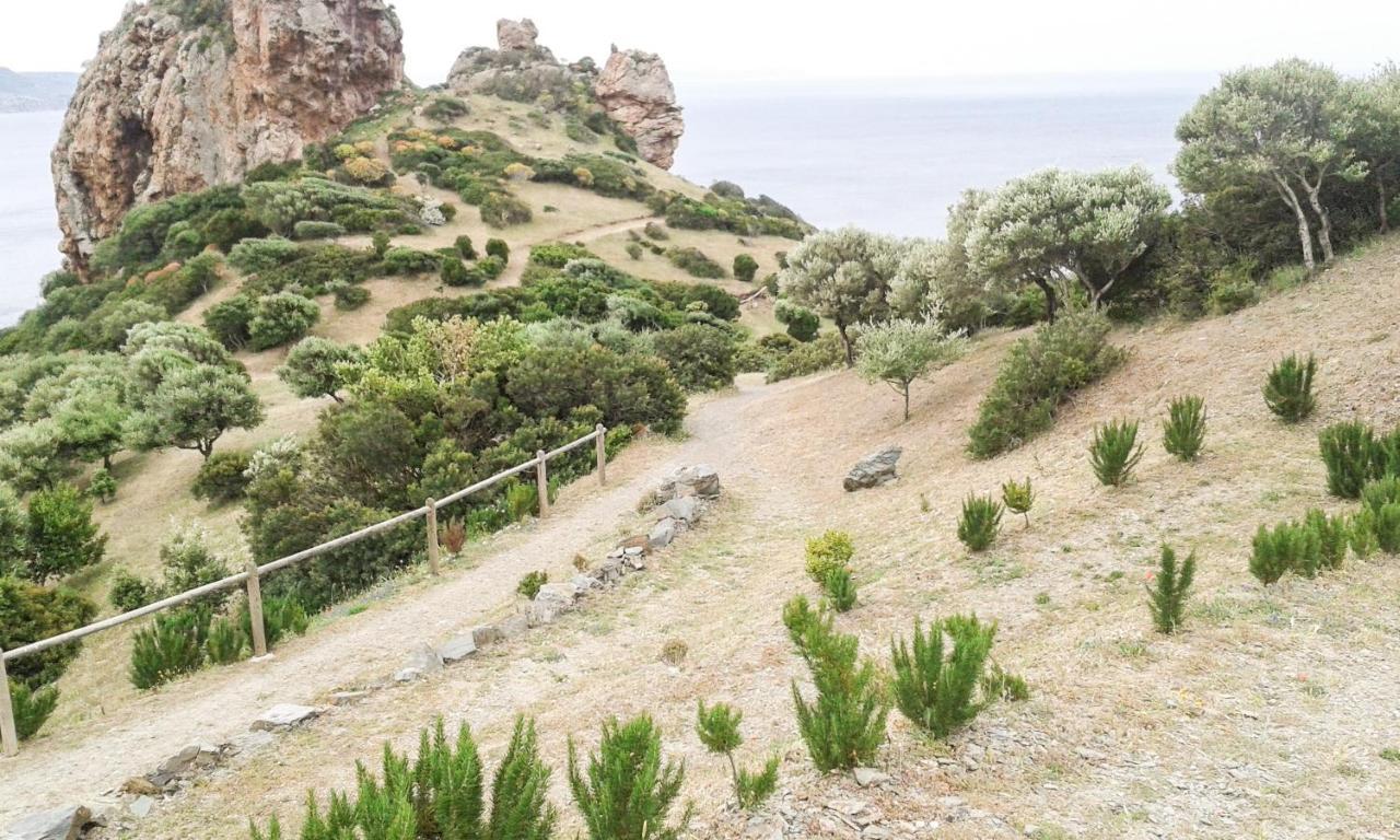 Villa La Terrazza Fiorita Nebida Exterior foto